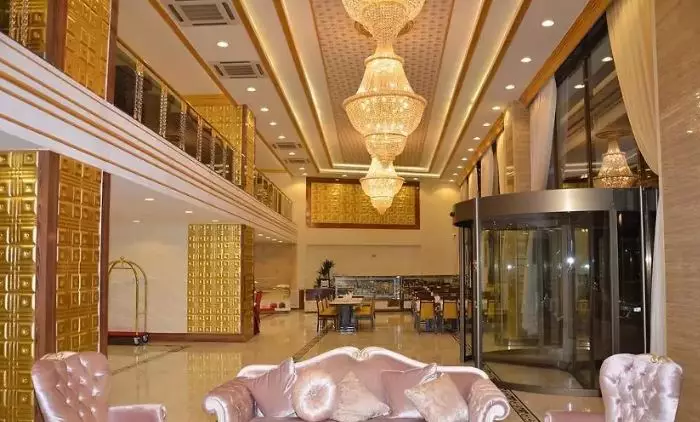 هالدی